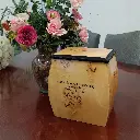 Oblique Treasure Chest Adult